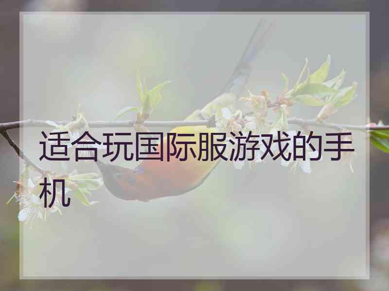 适合玩国际服游戏的手机