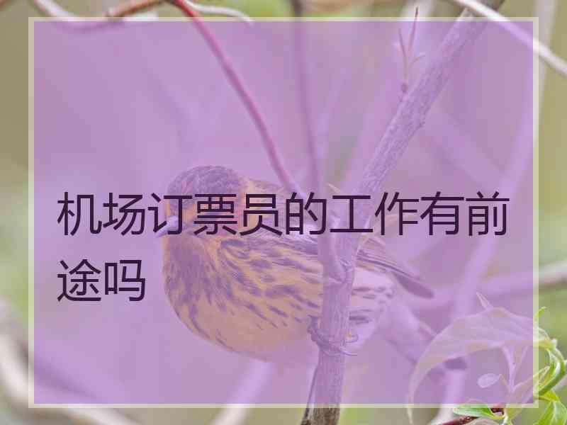 机场订票员的工作有前途吗