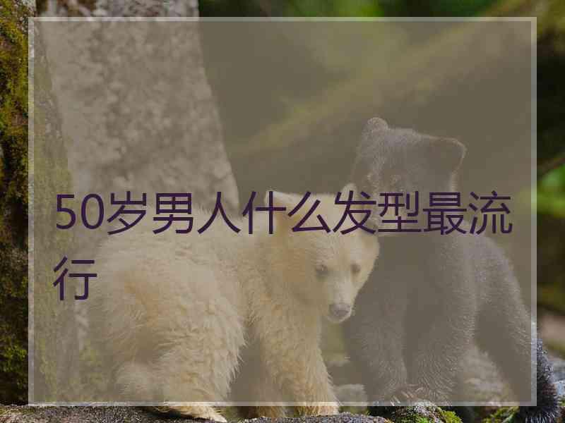 50岁男人什么发型最流行