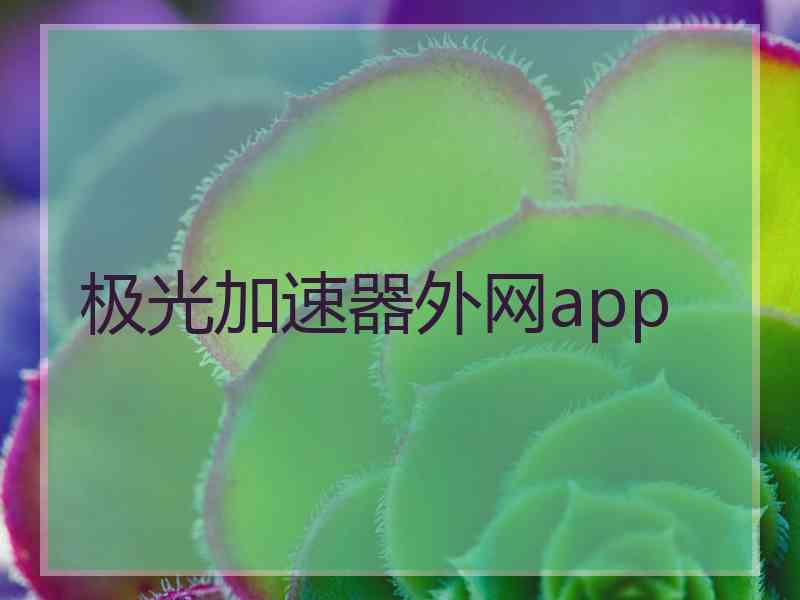 极光加速器外网app