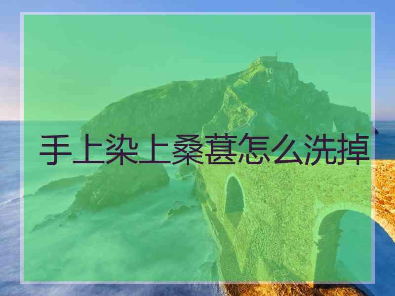 手上染上桑葚怎么洗掉