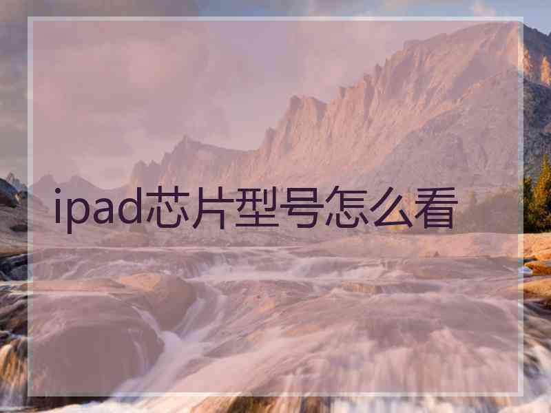 ipad芯片型号怎么看