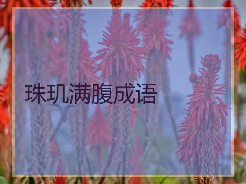 珠玑满腹成语
