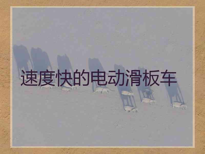 速度快的电动滑板车