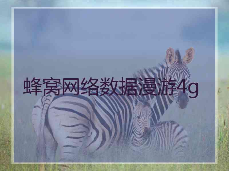 蜂窝网络数据漫游4g