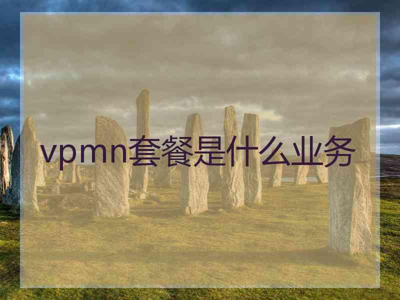 vpmn套餐是什么业务
