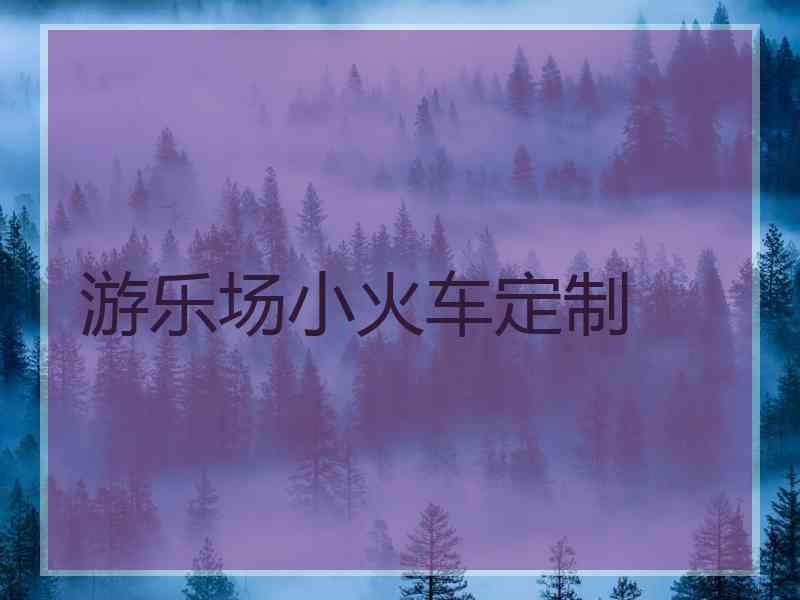 游乐场小火车定制