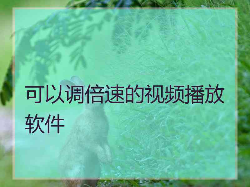 可以调倍速的视频播放软件