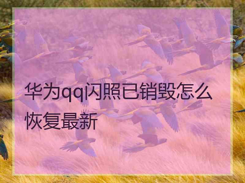 华为qq闪照已销毁怎么恢复最新
