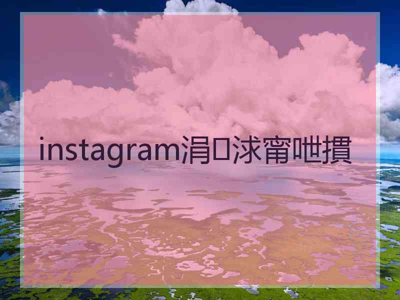 instagram涓浗甯呭摜