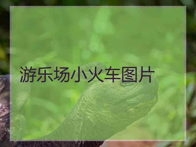 游乐场小火车图片
