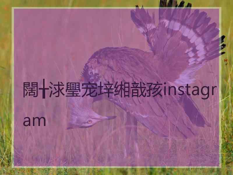 闊╁浗璺宠垶缃戠孩instagram