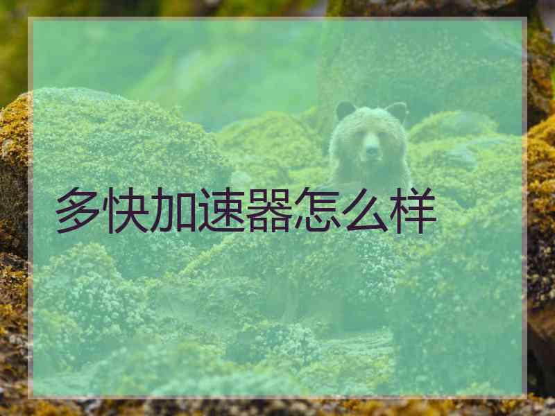 多快加速器怎么样
