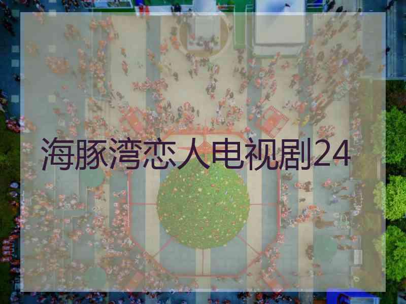 海豚湾恋人电视剧24