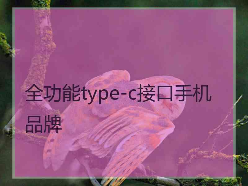 全功能type-c接口手机品牌