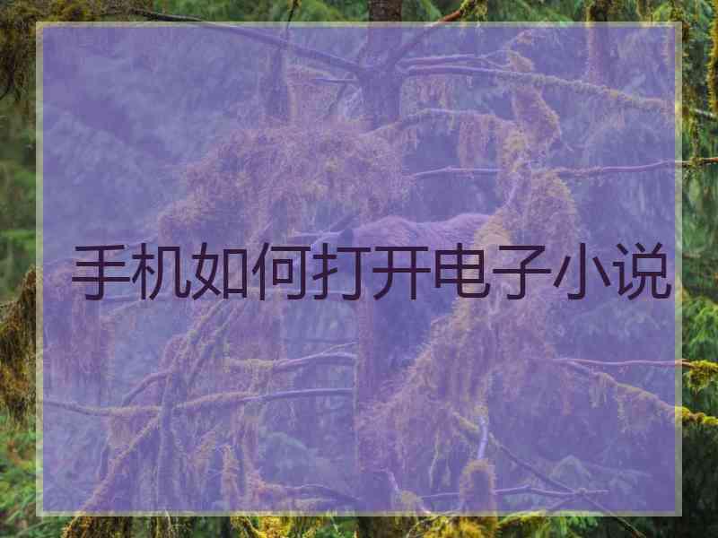 手机如何打开电子小说