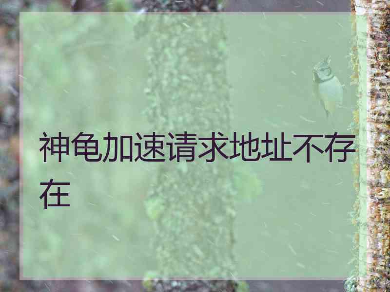 神龟加速请求地址不存在