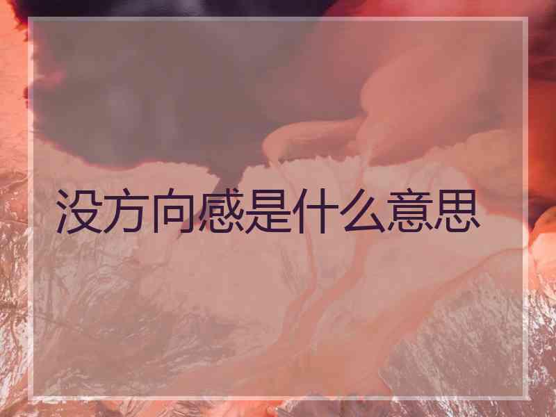 没方向感是什么意思