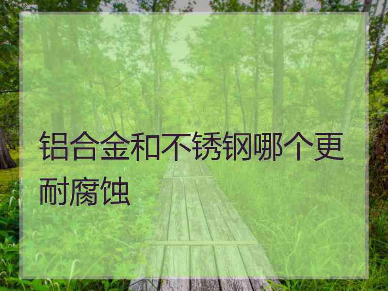 铝合金和不锈钢哪个更耐腐蚀