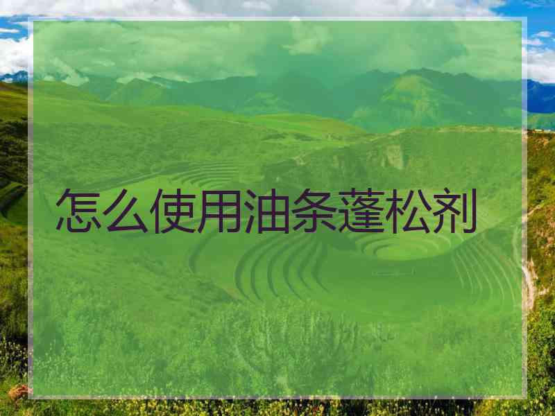 怎么使用油条蓬松剂