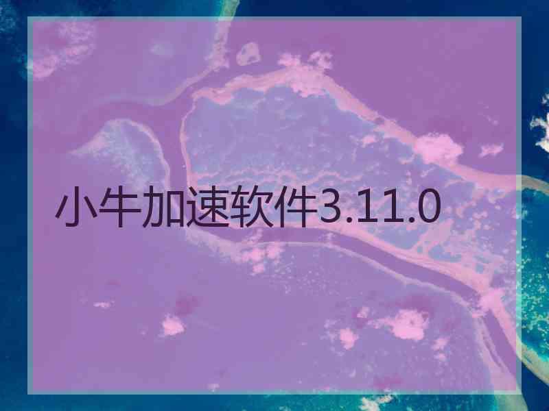 小牛加速软件3.11.0