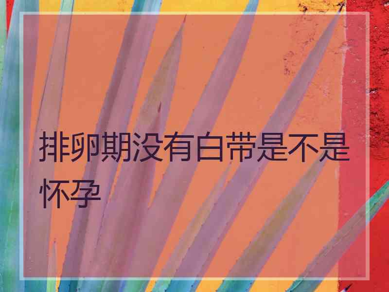 排卵期没有白带是不是怀孕