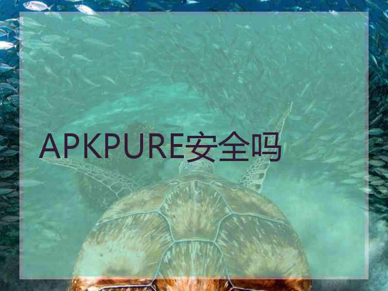 APKPURE安全吗