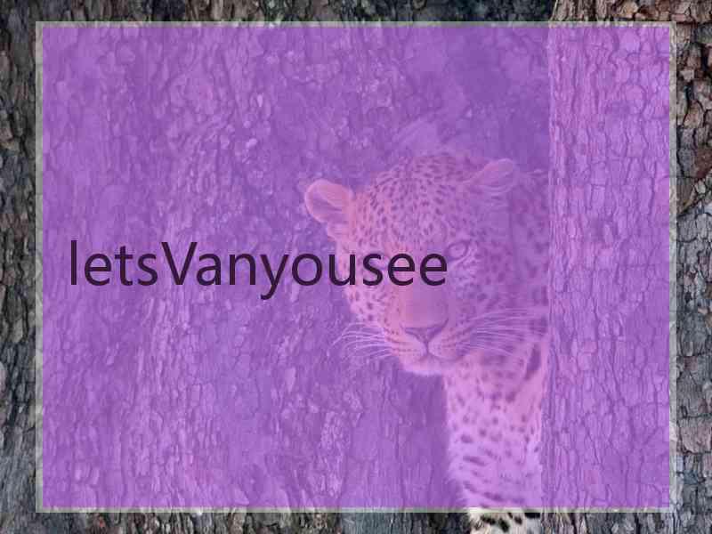 letsVanyousee