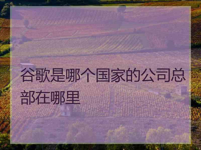 谷歌是哪个国家的公司总部在哪里