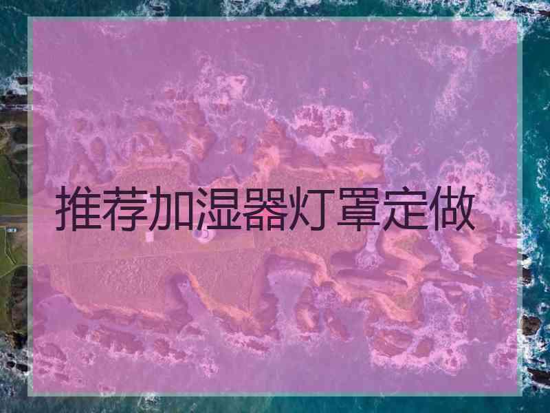 推荐加湿器灯罩定做