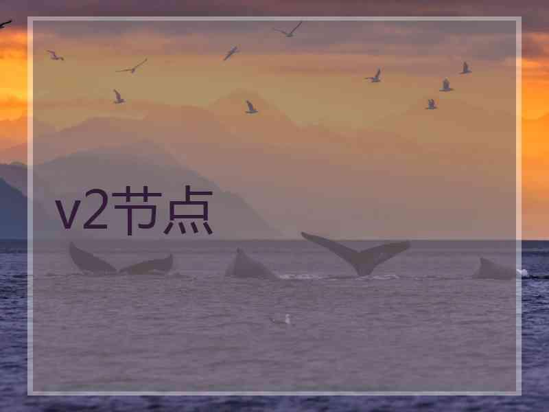 v2节点