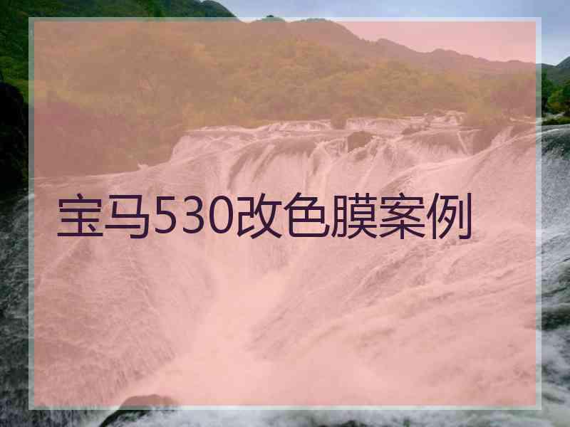 宝马530改色膜案例
