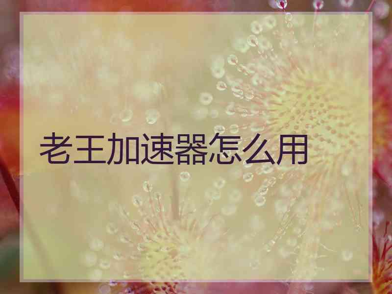 老王加速器怎么用