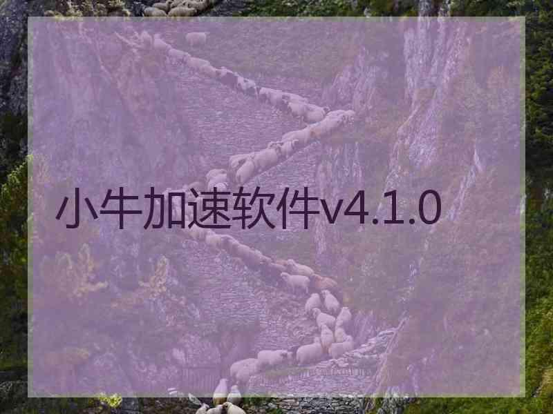 小牛加速软件v4.1.0