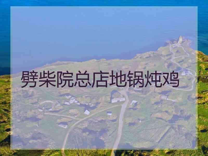 劈柴院总店地锅炖鸡