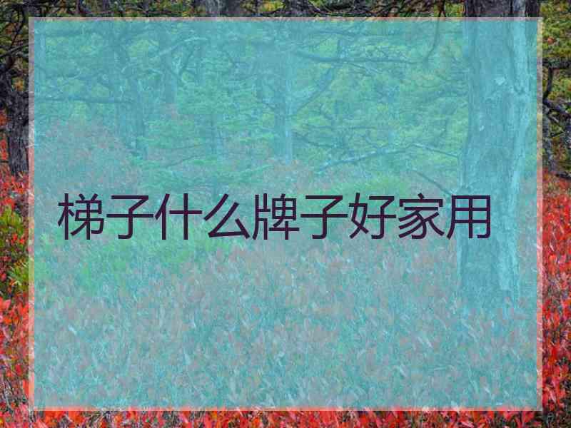 梯子什么牌子好家用