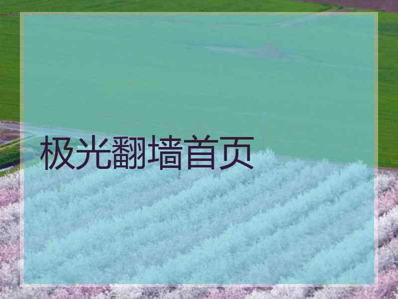 极光翻墙首页