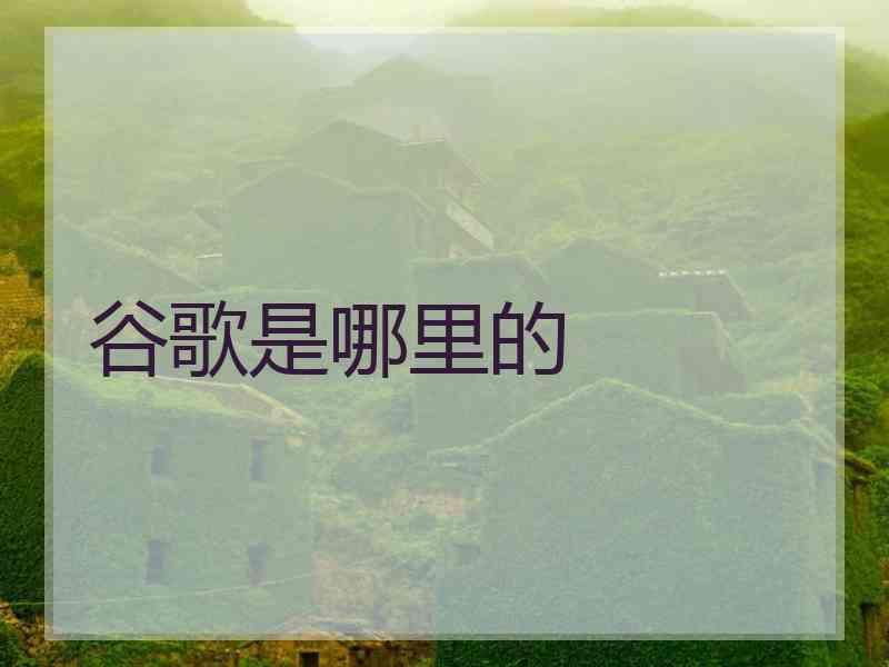 谷歌是哪里的