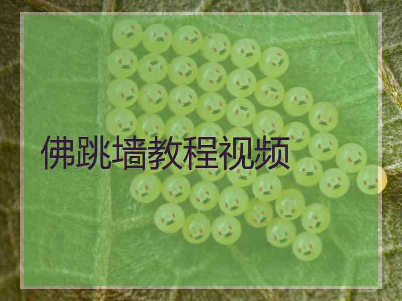佛跳墙教程视频