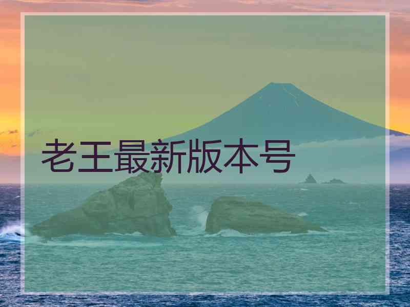 老王最新版本号