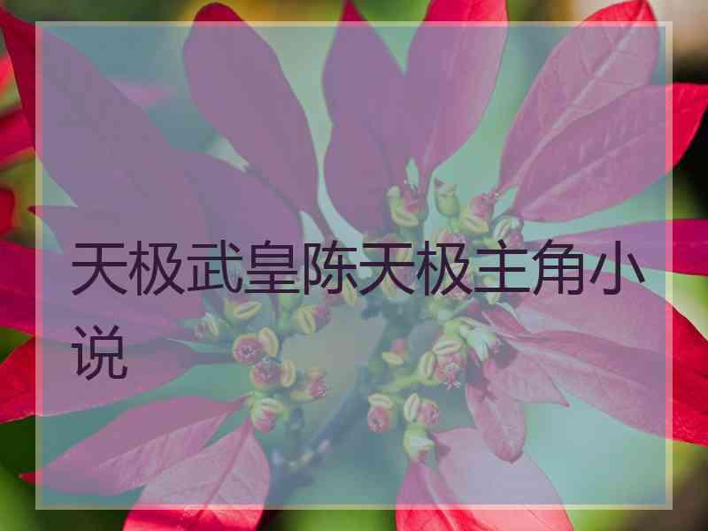 天极武皇陈天极主角小说