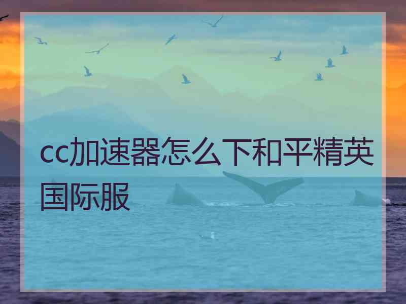 cc加速器怎么下和平精英国际服