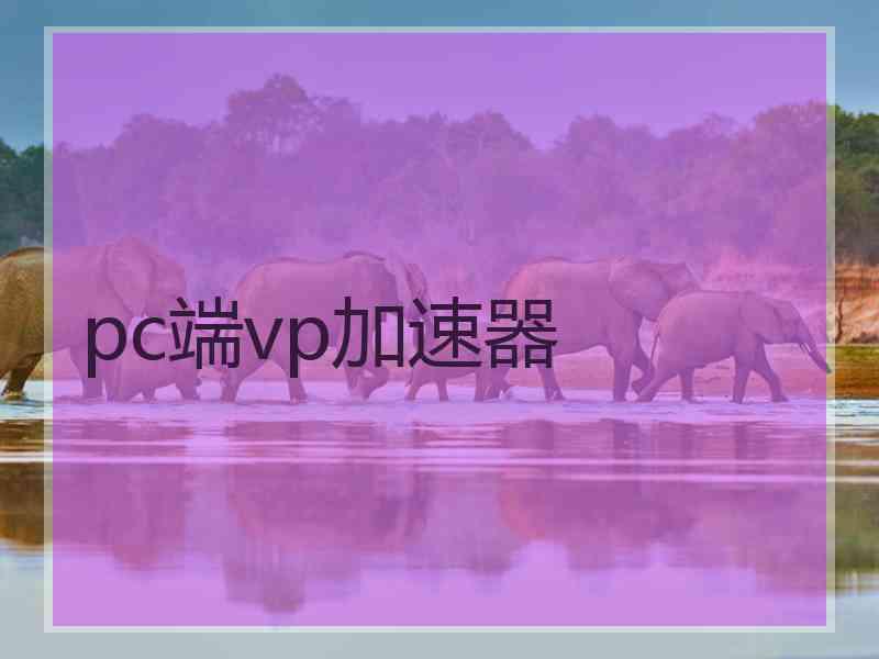 pc端vp加速器