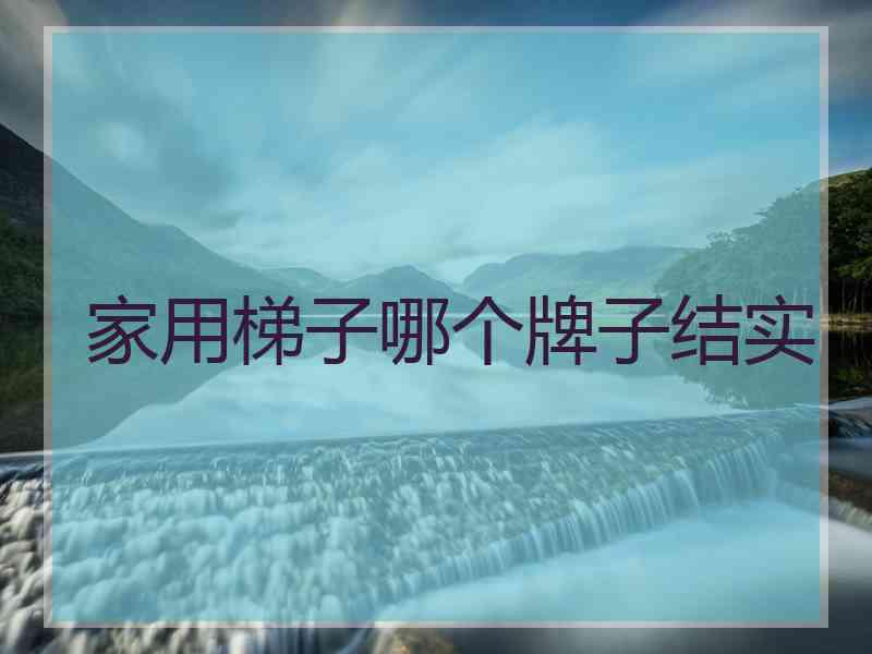 家用梯子哪个牌子结实