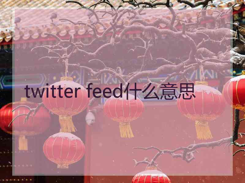 twitter feed什么意思