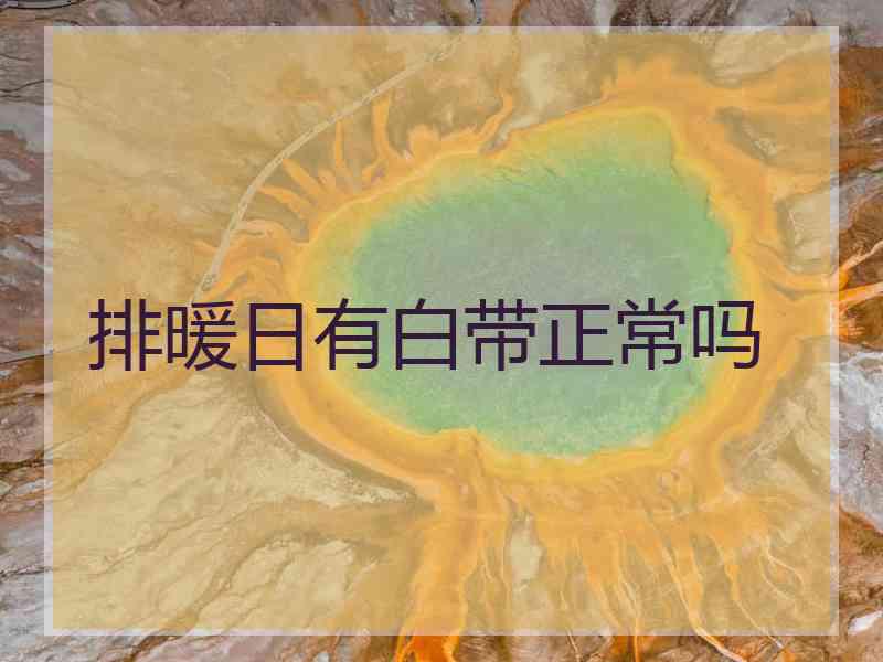排暖日有白带正常吗