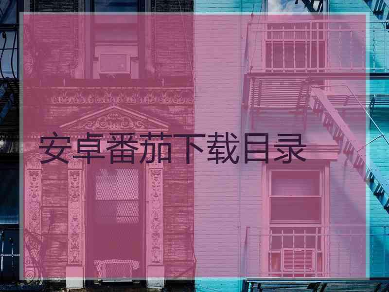 安卓番茄下载目录