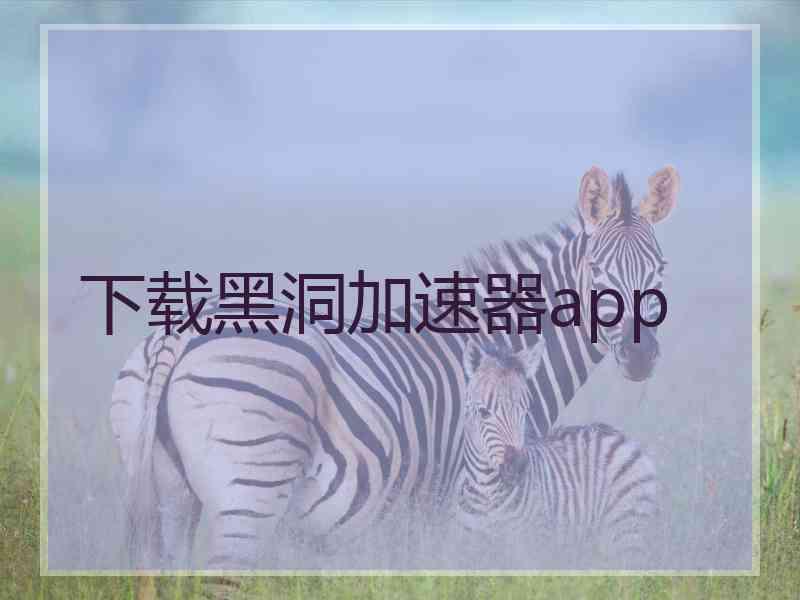 下载黑洞加速器app