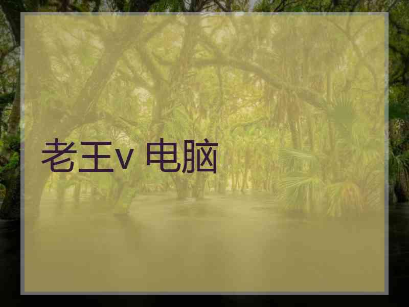 老王v 电脑