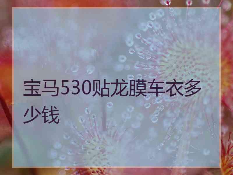 宝马530贴龙膜车衣多少钱